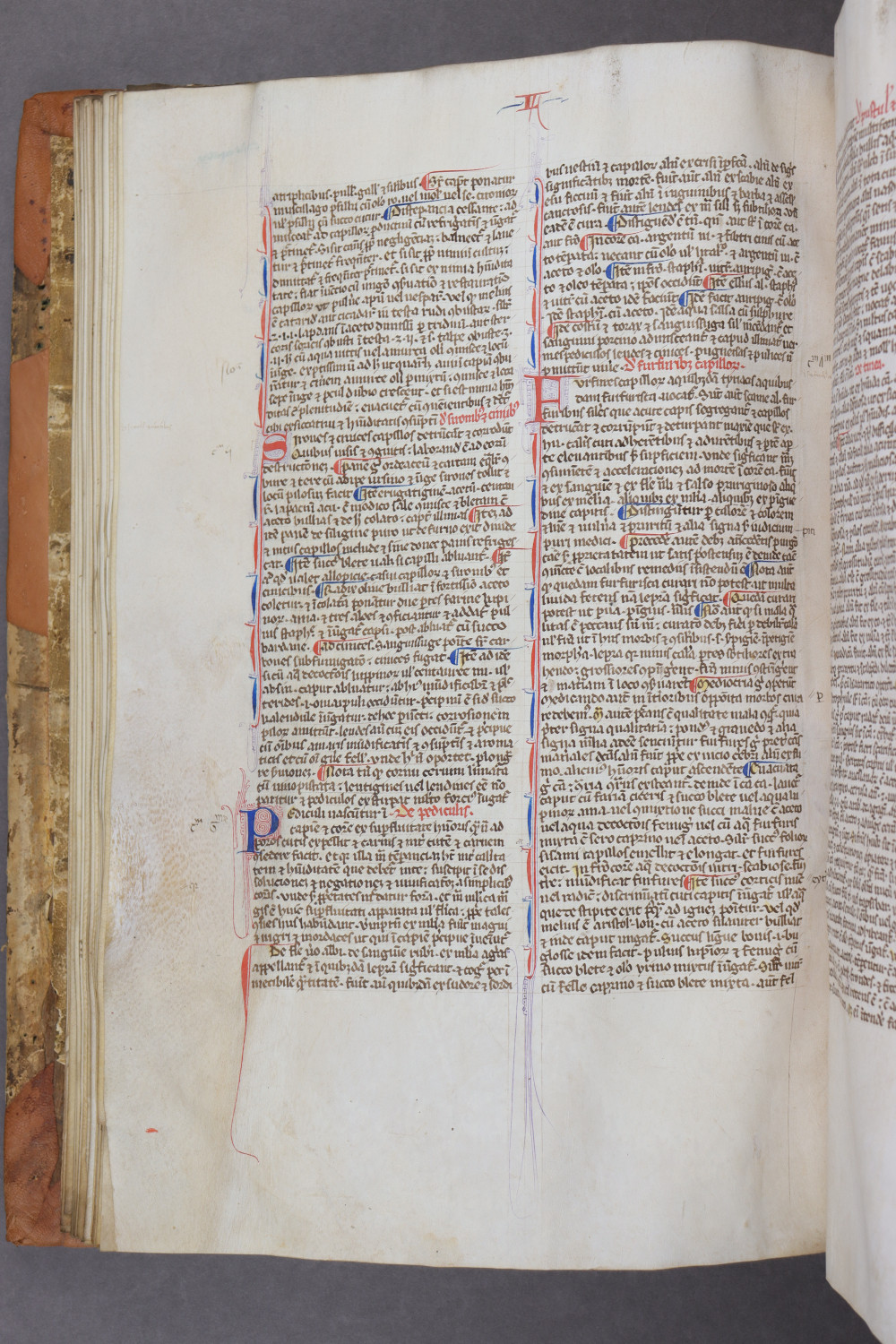 Folio 35 verso